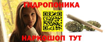 сатива Камышлов