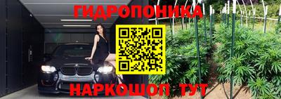 сатива Камышлов