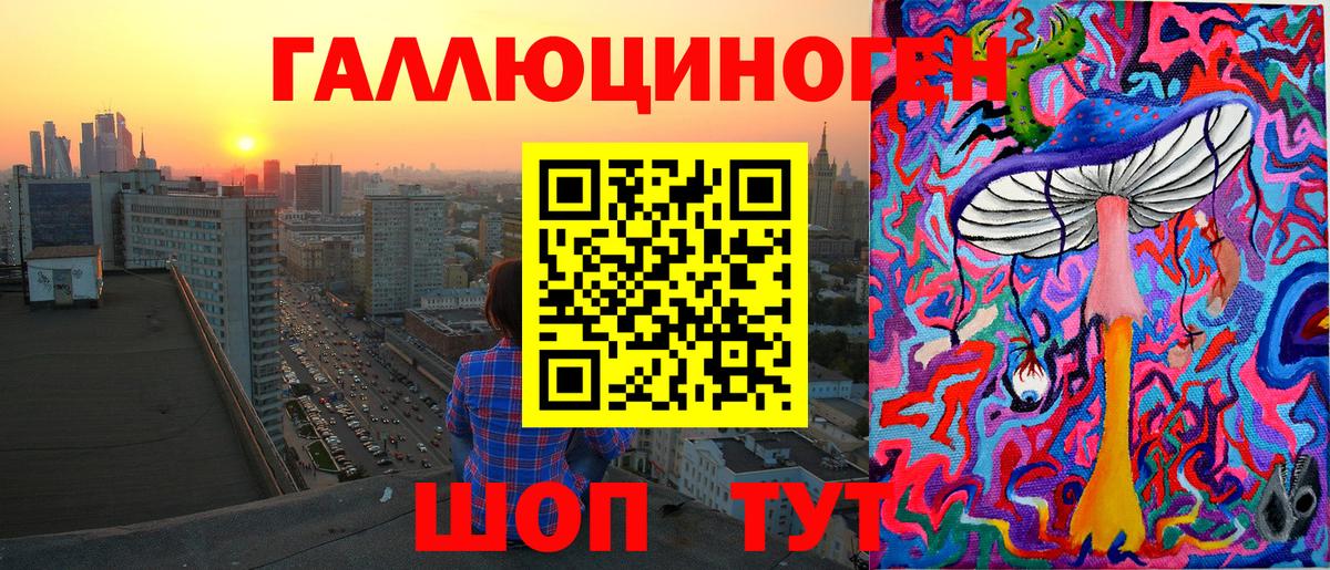 Галлюциногенные грибы Psilocybe Волгоград