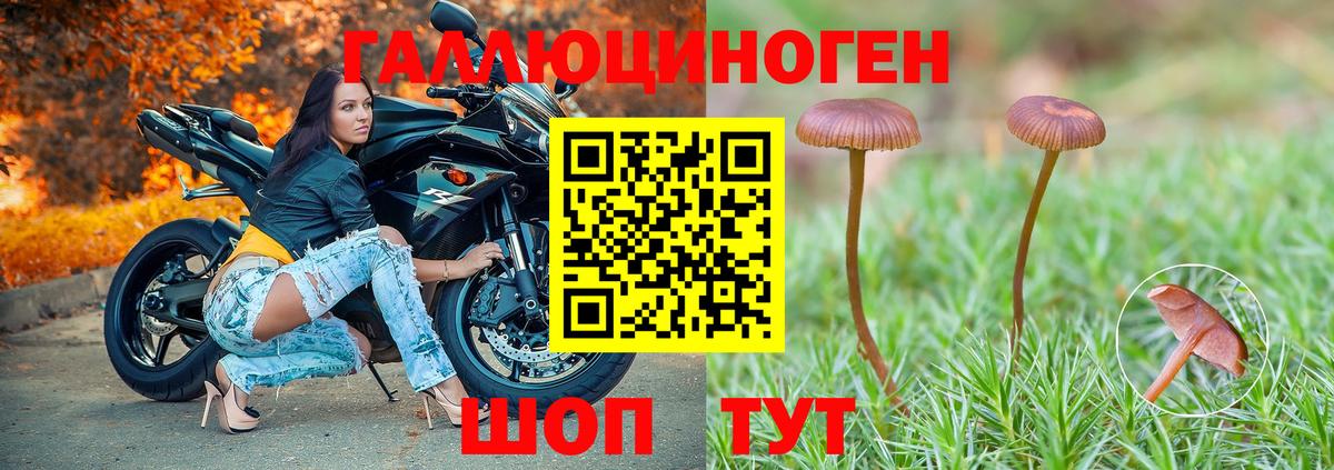 Галлюциногенные грибы ЛСД  Вход с VPN  Волгоград 